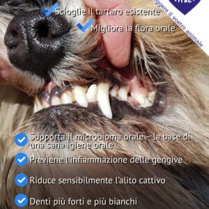 TEEF Vitae+® (21g / fino a 210 applicazioni) | Cura dentale sana per cani e gatti - immagine 7