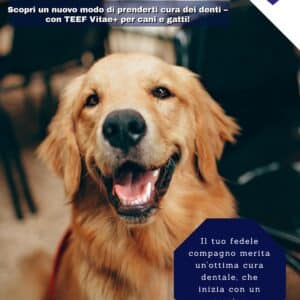 TEEF Vitae+® (21g / fino a 210 applicazioni) | Cura dentale sana per cani e gatti - immagine 8
